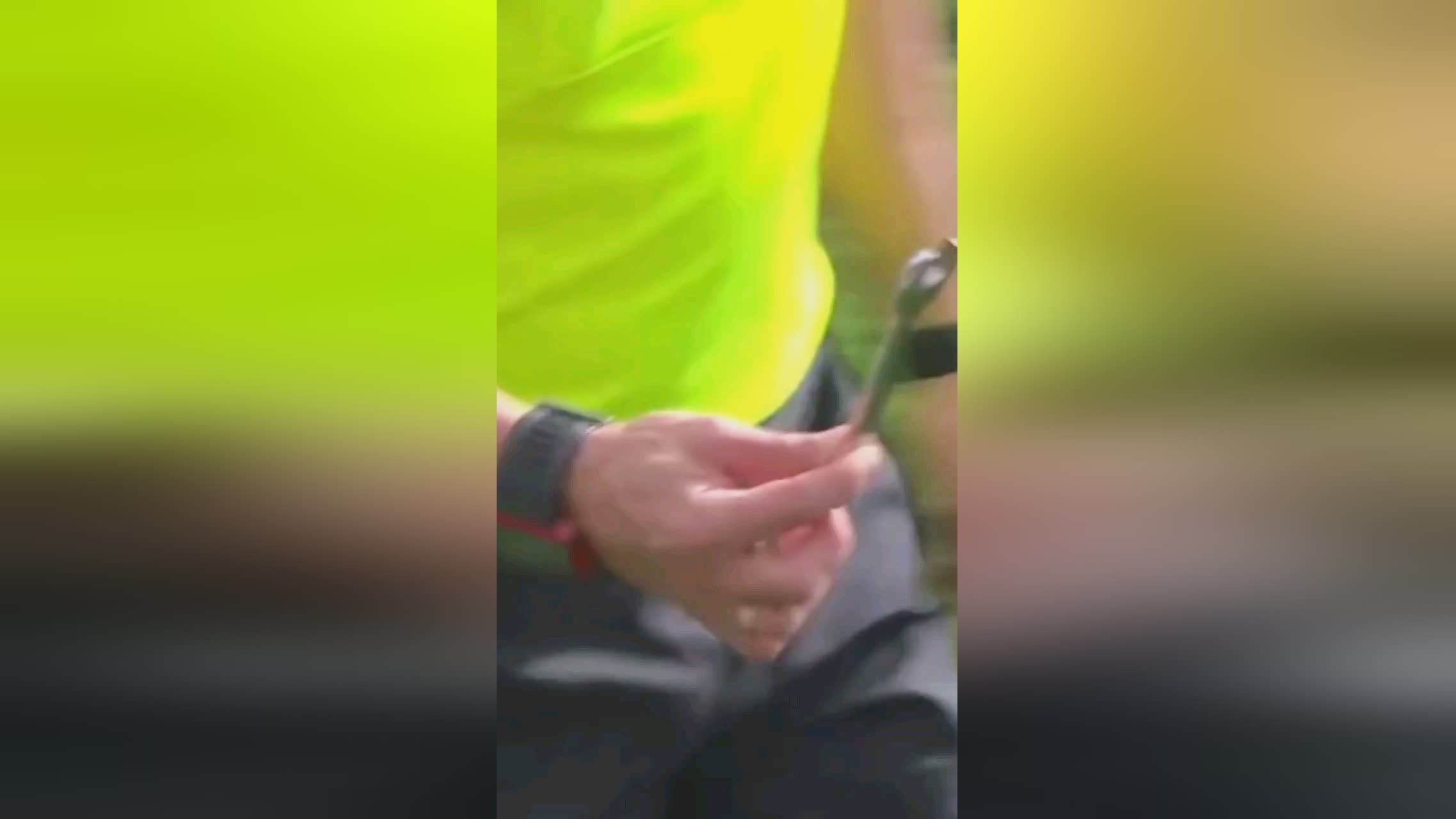 34和必括
